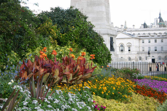 St James Park